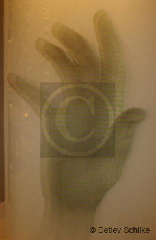 pre-20030901DS044